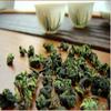 Alishan Peach Oolong 250g Organic High Mountain Loose Leaf Green Tea