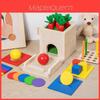 Wooden Educational Goal Box With Multifunction Insert Stick For Toddler Learning And Play