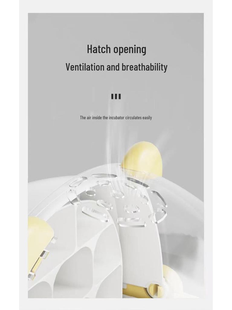 Silkworm Cocoon Space: Student Rearing Kit & Observation Box for Silkworm Growth and Egg Hatching