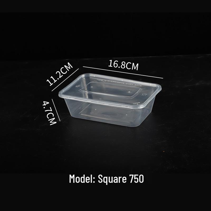 Transparent Rectangular Microwaveable Food Container with Lid