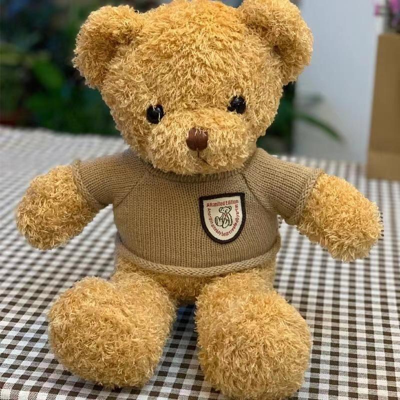 Sweater Bear Doll Birthday Gift Teddy Bear Plush Toy Doll
