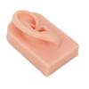 Silicone Ear Model Soft Flexible Right Ear Reusable Human Ear Model for Ear Piercing Training And Earrings Display
