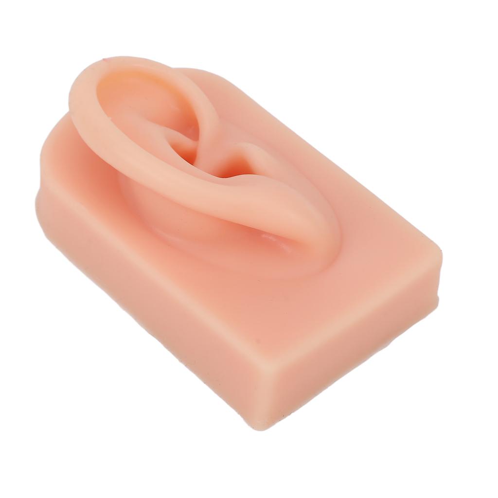 Silicone Ear Model Soft Flexible Right Ear Reusable Human Ear Model for Ear Piercing Training And Earrings Display