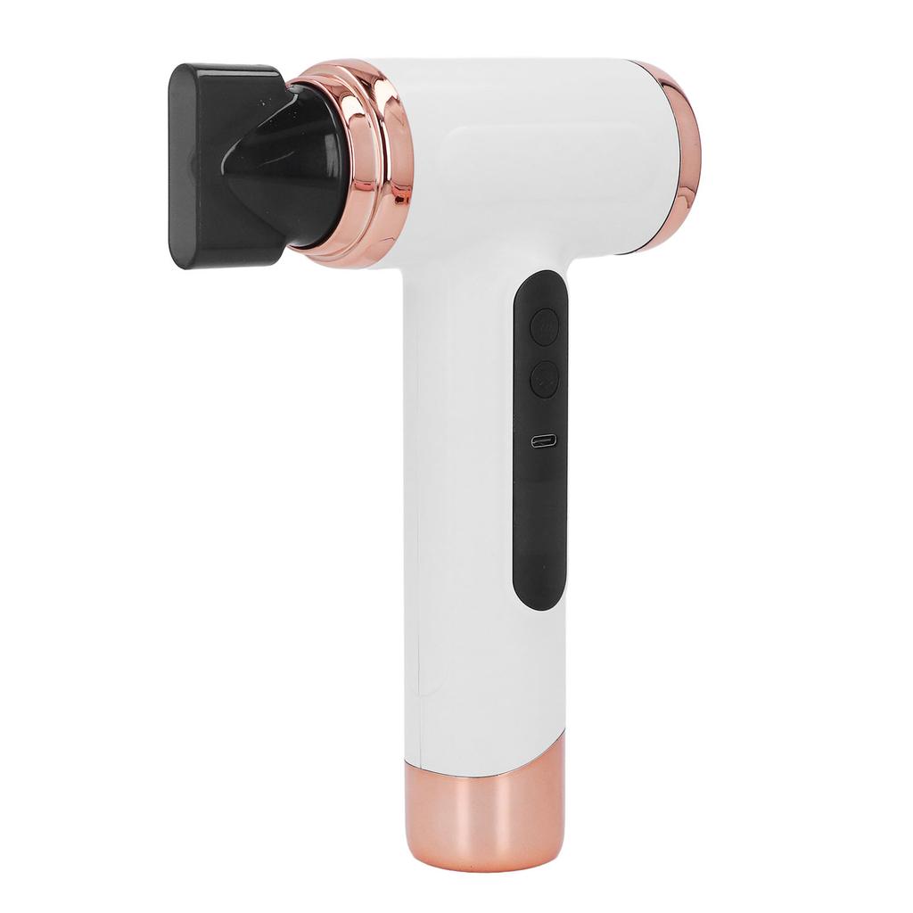 Hair Blow Dryer Wet and Dry Use 200W Powerful Hair Dryer Portable Multifunctional Pet Blow Dryer for Travel