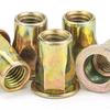 Color Zinc Semi-Hexagonal Flat Round Head Rivet Nut (M5/M6/M8)