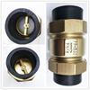 Zhandong PE Check Valve