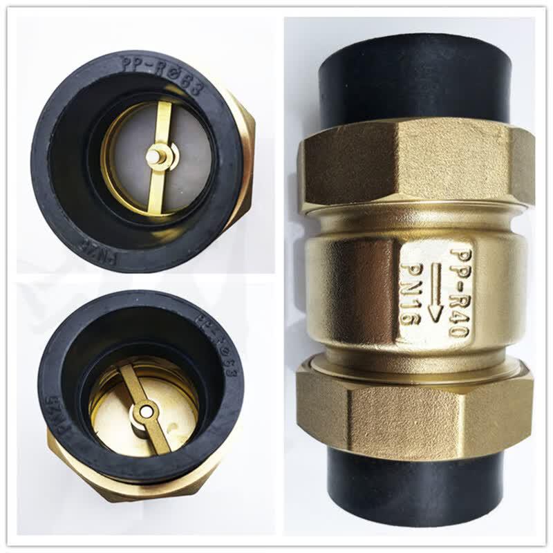 Zhandong PE Check Valve