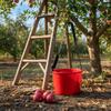 Shoulder Picking Bucket Reinforced Boarder Harvest Deep Tub