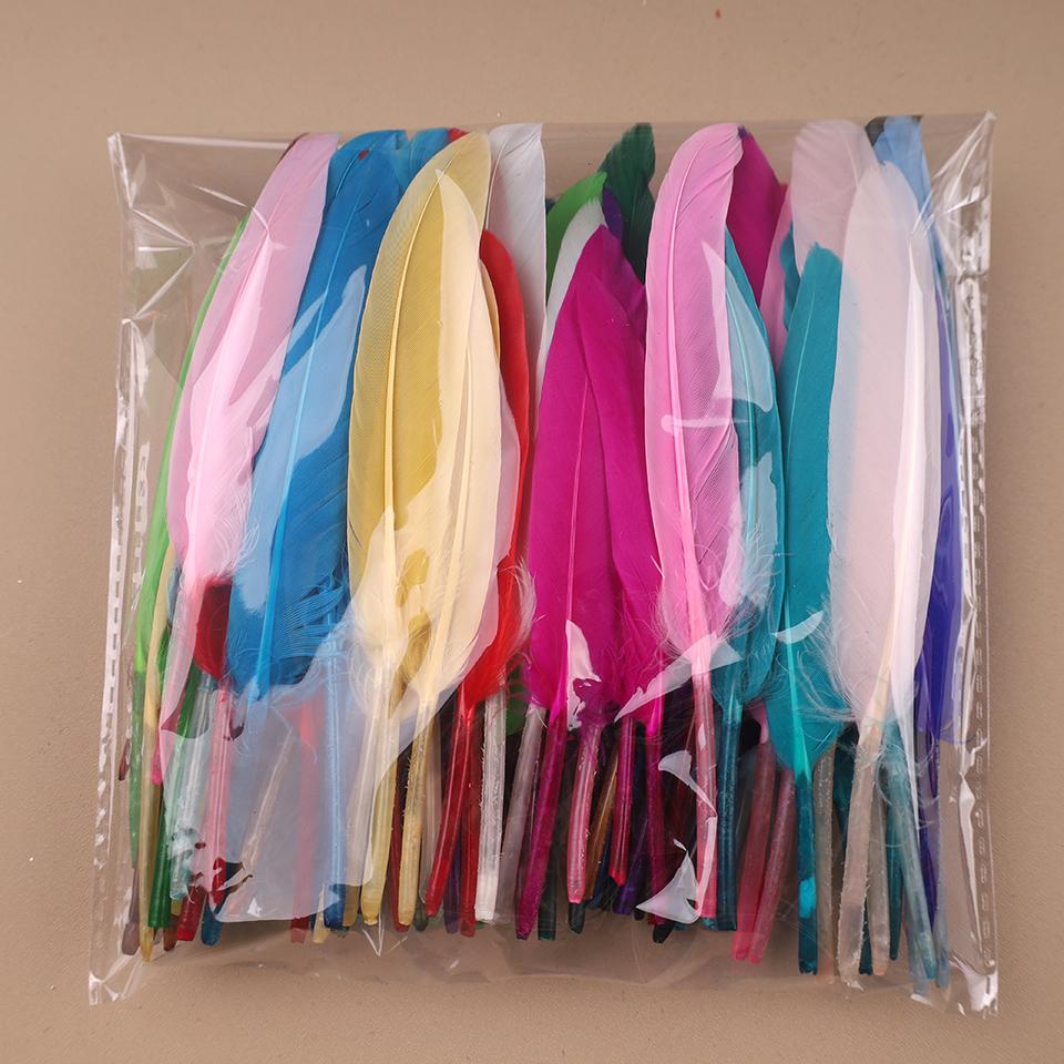 Duck Feathers for Clothes Handicraft Accessories White Golden Black Pink Peacock Goose Feather Plumas Handicraft Article