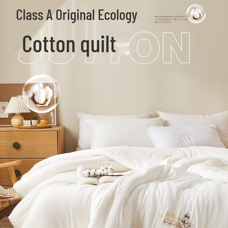 Xinjiang Pure Cotton Washed All-Season Quilt 220cm x 240cm (3kg)