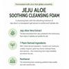 [The Face Shop] Jeju Aloe Soothing Foam Cleanser 150ml