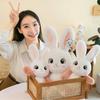 Adorable Yaya Rabbit Plush Toy For Girls Soft Pillow Cushion Gift For Kids 60cm