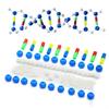 Hands on Double Helix DNA Models Set Organic Chemistry Atoms Models for Organic Chemistry Learning and Biology Teaching