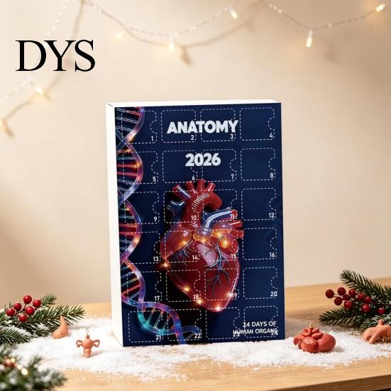 Christmas Tree Pendant 2026 Anatomy Advent Calendar, 24-Day Body Organ Ornament Set, Human Anatomical Calendar for Kids Hanging Decor Tree,