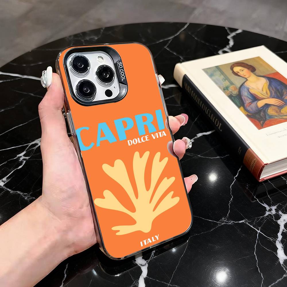 

Bali Ibiza Capri Bondi Palm Phone Case For iPhone 17,16,15,14,13,12,11 Plus,Pro Max,XS,Colorful Silver Phone case Funda Cover iPhone13