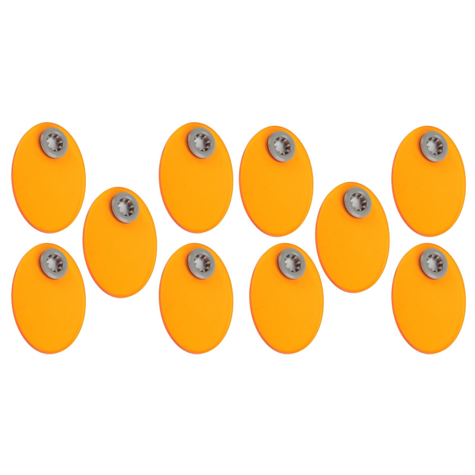 

10 шт. профессиональная стоматологическая светозатеняющая доска, стоматологическая светоотверждаемая пластина, аксессуар для стоматологического инструмента