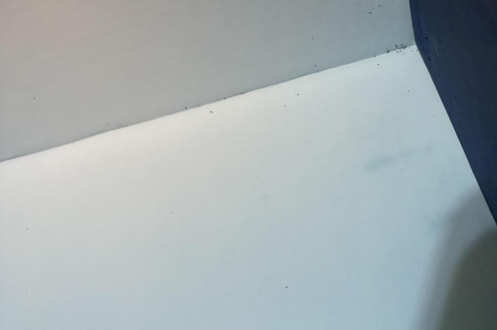 STEAM CONTROLLER [Parallel Import]