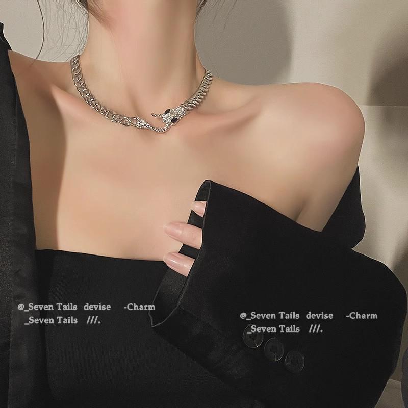 2025 High-End Gothic Punk Necklace: Y2K Dark Style Clavicle Chain for Women