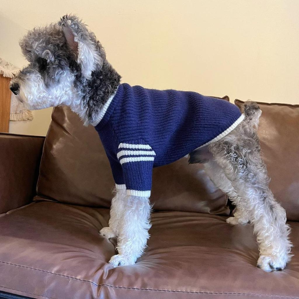 Trendiger Herbst-/Winterpullover für kleine Haustiere: Schnauzer, Yorkie, Französische Bulldogge, Pudel und Katzen.