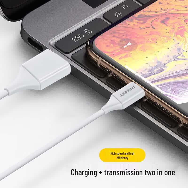 PISEN USB to Lightning Fast Charging Cable