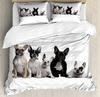 Bulldog Bedding Set For Bedroom Bed Home Group Of Young French Bulldogs With Adorable Exp Duvet Cover Quilt Cover And Pillowcase