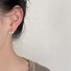 Cute Small Starfish Shell Stud Earrings for Women Asymmetric Rhinestones Imiation Zircon Charms Earrings Trendy Sweet Zircon