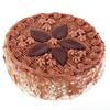 14-piece Set 8 Decorating Mouth Cake Cream Decoration Tool with Smudge Scraper Converter Household Kitchen Baking Tools