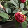 DIY Artificial Rose Flower 52cm Flower Arrangement Fake Flowers Rose Vine  Wedding