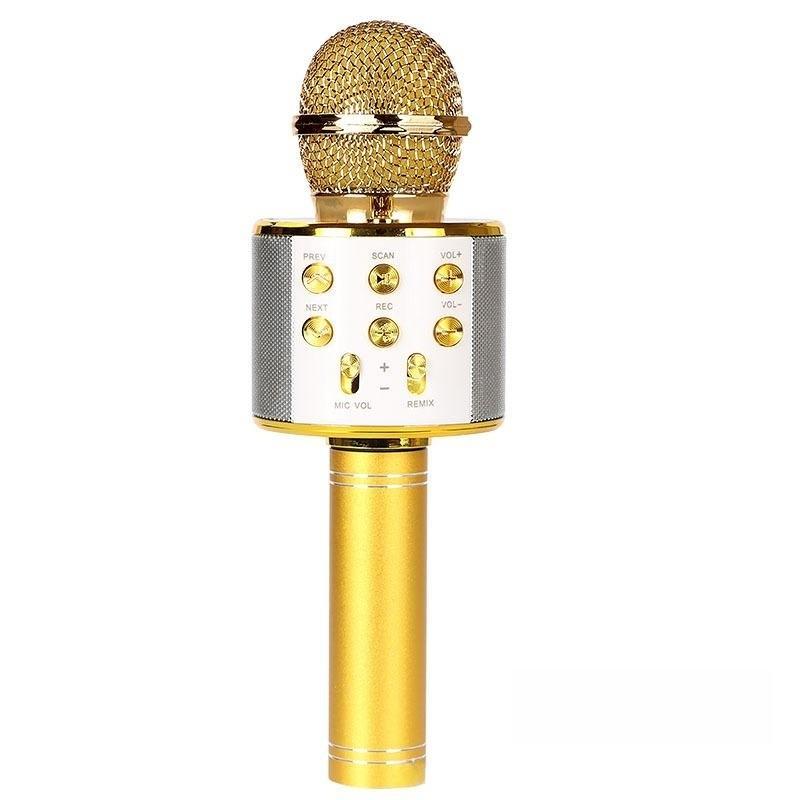 Kids Karaoke Microphone for Girl Toys,Christmas Birthday Gifts Ideas for 3 4 5 6 7 8 9 10 Year Old Girls