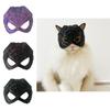 Stylish Spider Web Cat Mask For Modern Art Lovers With Unique Sculpted Design
