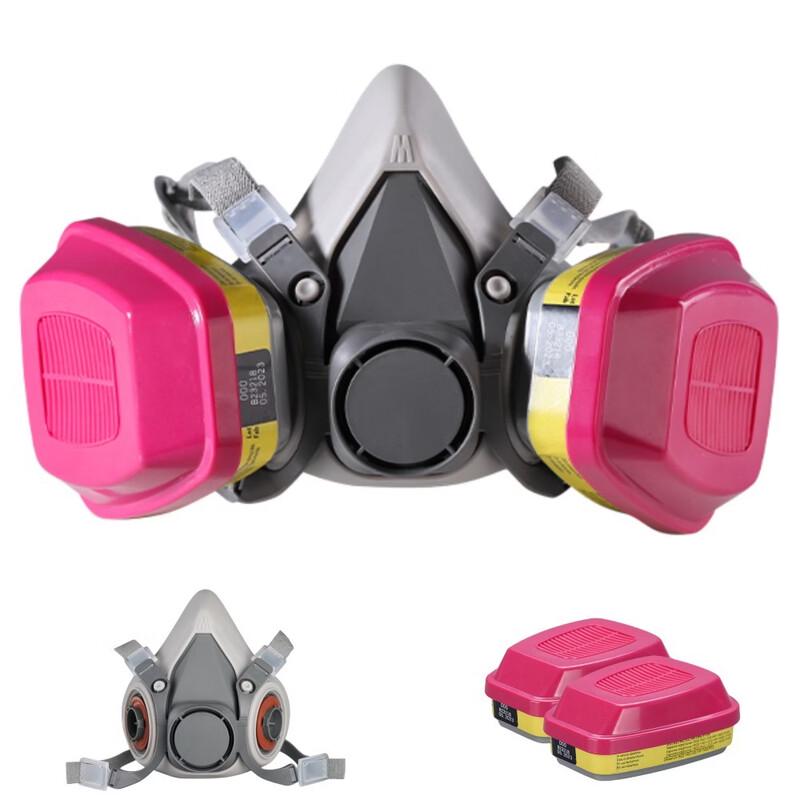 DAXTE Reusable Full Face Respirator with 60923 Filter Cartridges