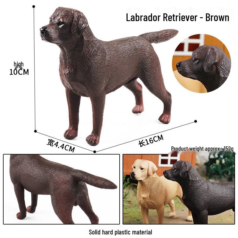 Cute Dog Model Toy: Corgi, Shiba Inu, Labrador - Children's Cognitive Ornament