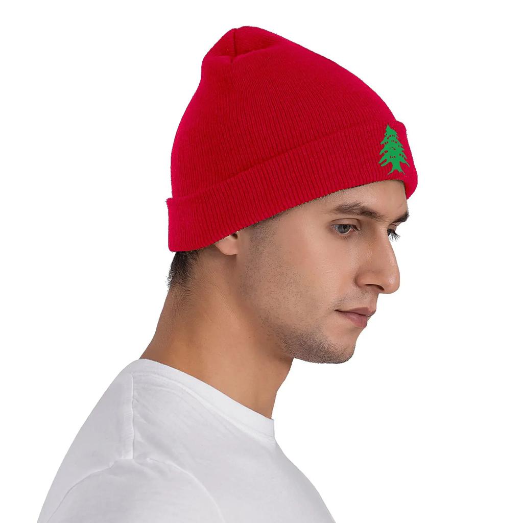 Flag of Lebanon Knitted Caps for Women Men Beanie Autumn Winter Hat Acrylic  Warm Cap