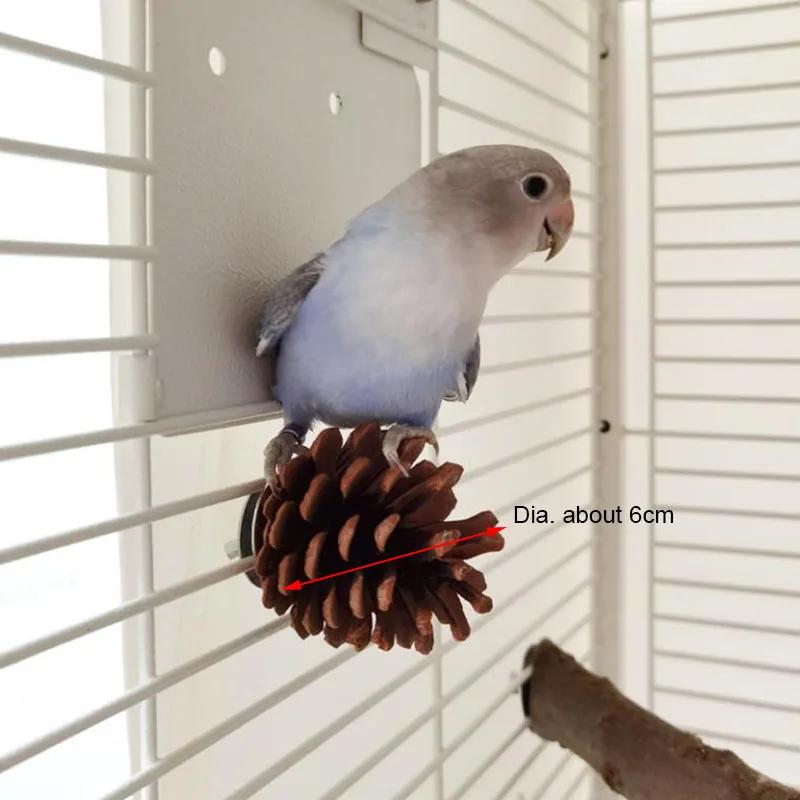 Natural Wood Pine Cones Pet Parrot Toy Bird Biting Exercise Climbing Standing Wooden Toys Pet Parrot Macaw Hammock Bird Toy