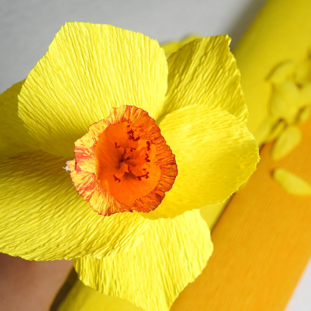 Krepppapier Girlande Krepppapier Dekoration 82ft Lang 1.77 Zoll Breit für Hochzeitszeremonie Verschiedene Große Festivals Dekoration