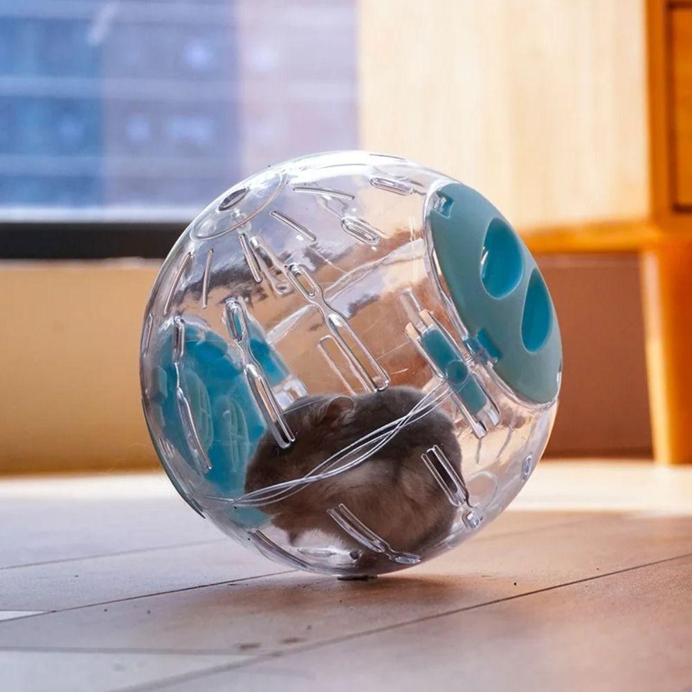 Pet Outdoor Sport Ball Plastic Toy New Grounder