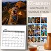 Cute Animal Theme Calendar 2027 Adventure Dog Wall Calendar, 12-Month Puppy Photography Planner with Planning for Owners Spiral Binding, Thick