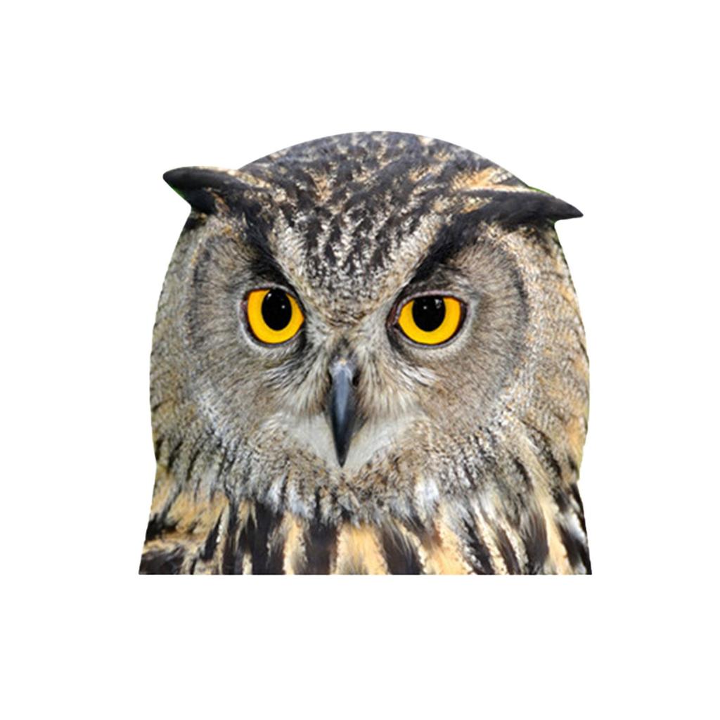 Car Window Glass Stickers Animal Series Vehicle Decal