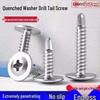 Phillips Head Self-Tapping Drill Tail Metal Screw for Color Steel Tile