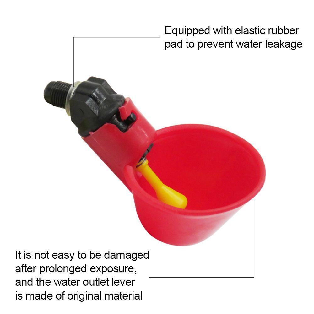 Bowls Bird Coop Water Drinker Bowl Chicken Drinker Fowl Drinker Birds Water Bowl Poultry Waterer