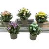 Chamomile Artificial Flower Arrangement for Home & Restaurant Decor - Small Daisy Potted Plant