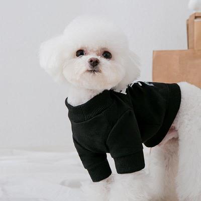 Frühling dünne Hundekleidung Bär Buchstabenaufdruck Pullover klein Teddy als Bär Katze Haustierkleidung