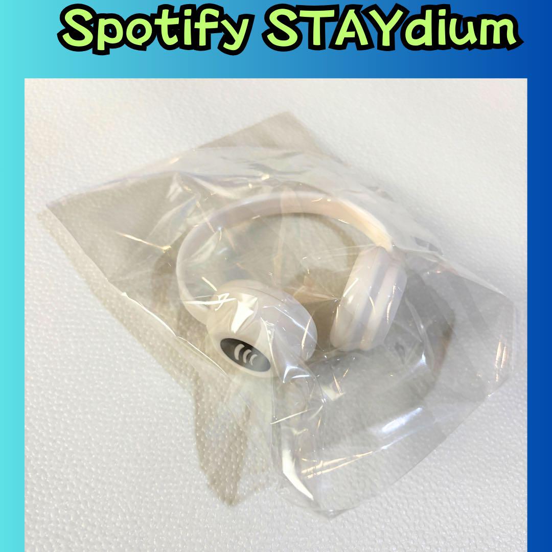 

[USED] Stray Kids Spotify headphones stadium skzoo i372
