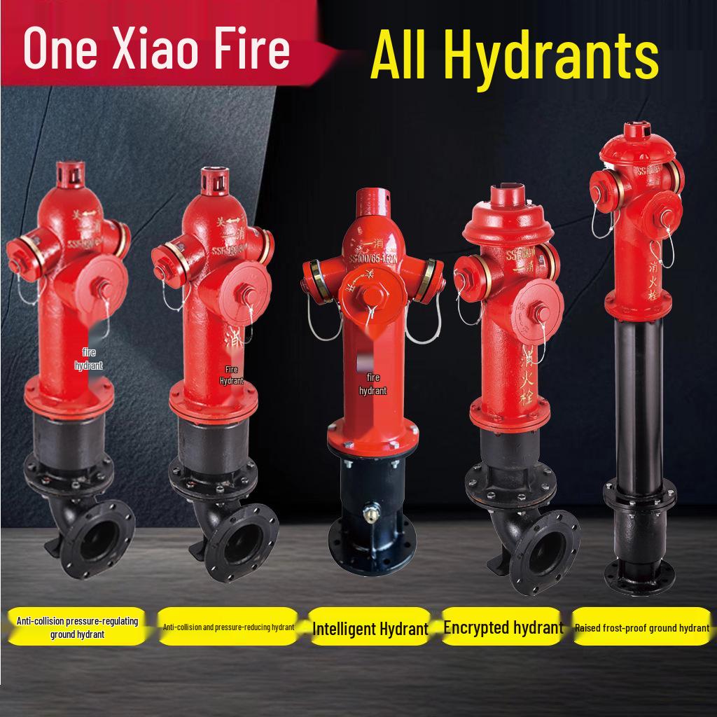 Outdoor Fire Hydrant SS100/65-1.6 National Standard