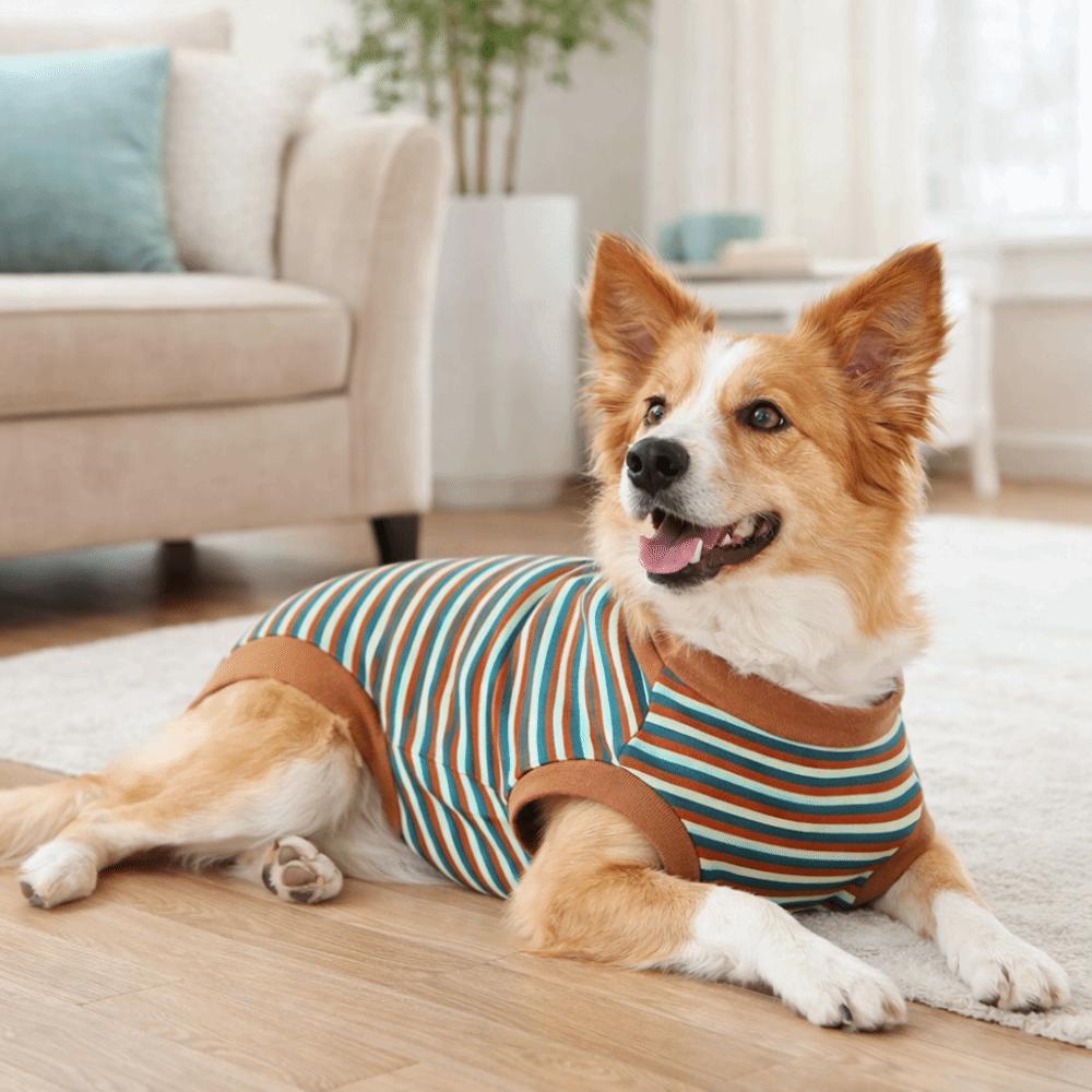 Striped Dog Recovery Clothes Washable Fleece Anti-Licking Vest Dog Four Legged Vest Female Spay