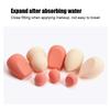 8pcs Makeup Sponge Wet Dry Dual Use Makeup Soft Powder Puff Makeup Tool