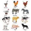 New Kids Gift Education Simulated Poultry Toys Figurines Animal Model