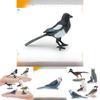 Realistic Bird Models Pvc Garden Decor Collection With Magpie Parrots And Owl Animal Figurines For Landscaping And Home Decoration