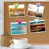 3D Colorful Push Pins DIY Board Thumbtack Decorative Studs Cork Board Pushpin  Wall Markers