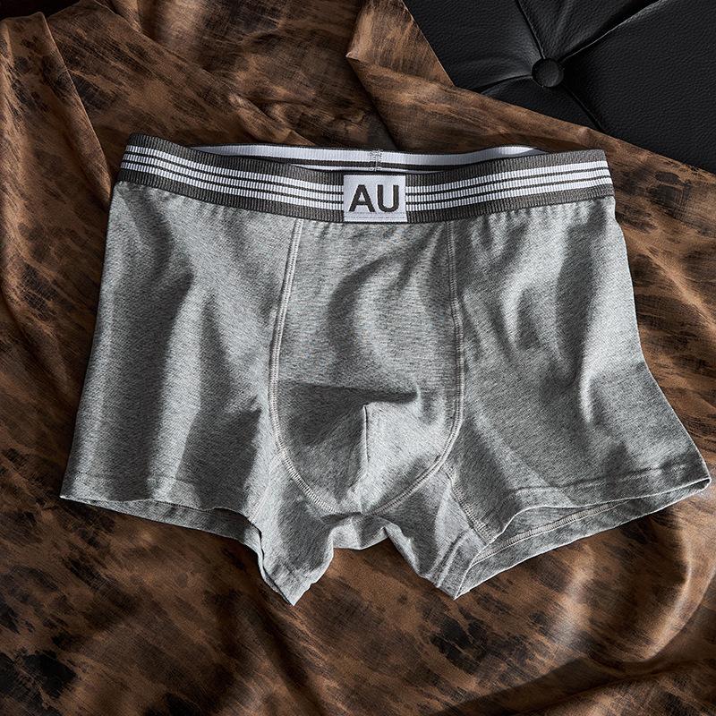 Plus Size Men's Spring and Summer Pure Cotton 10A Antibacterial Breathable Briefs